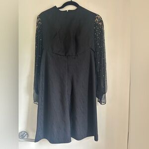 Black Dress with Sheer Sleeves